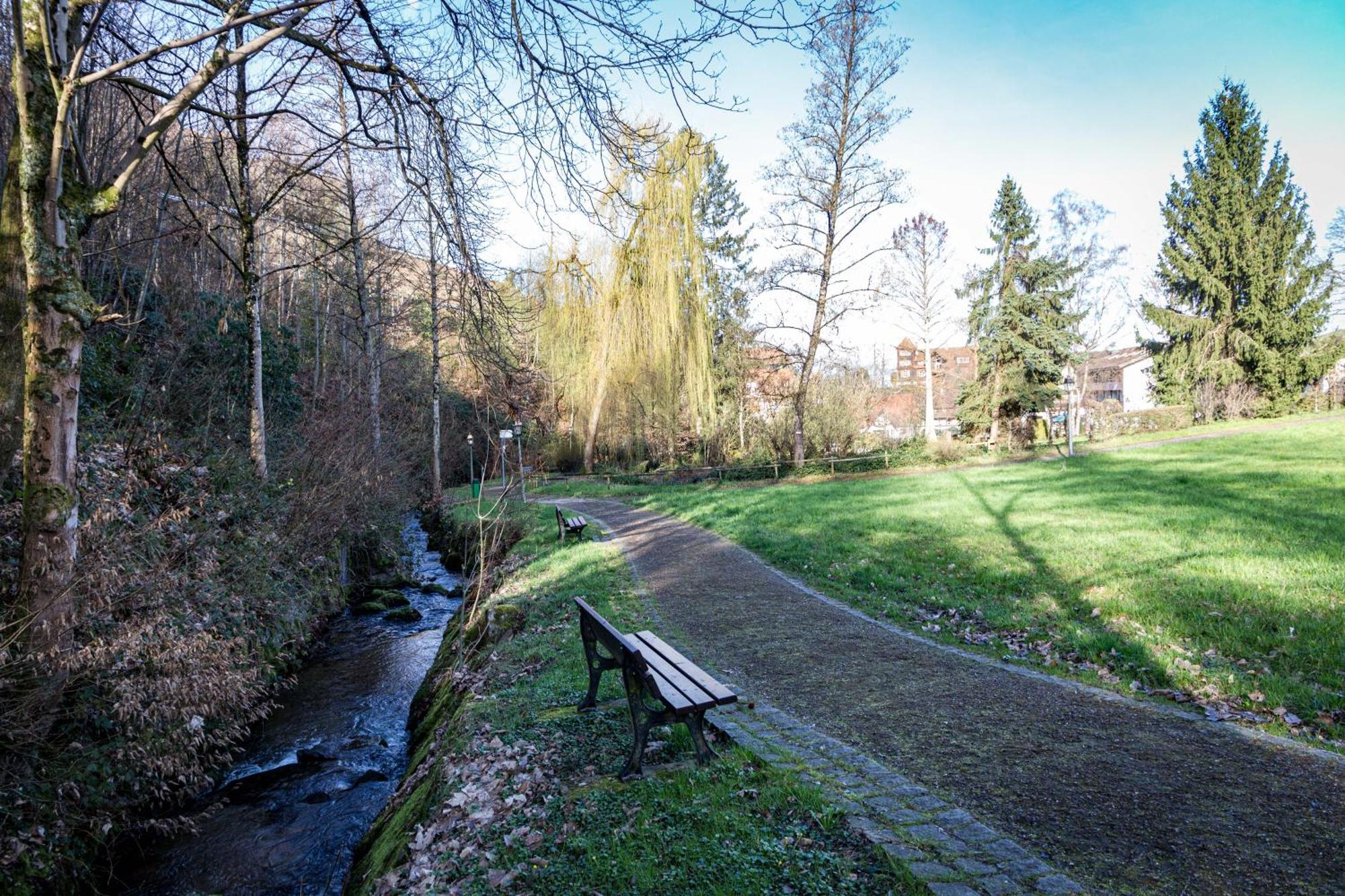 Living Timeless - Adler Apartments Sasbachwalden Eksteriør bilde